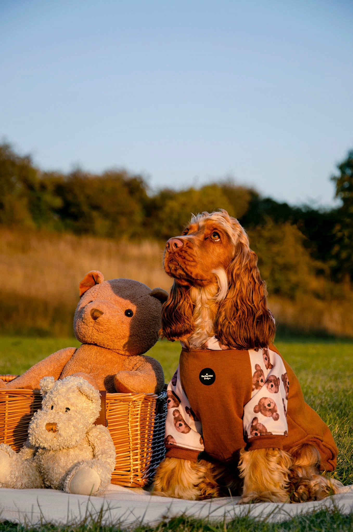 The Little Bear Cub Hoodie (Brown)