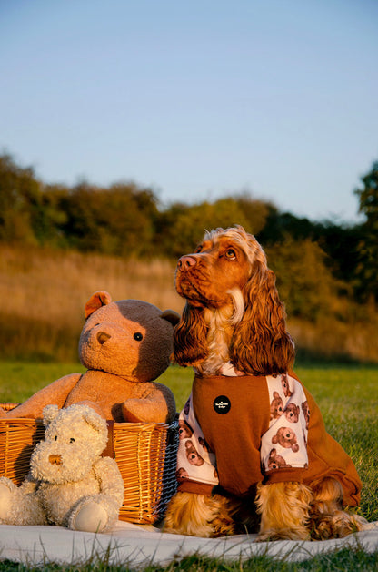 The Little Bear Cub Hoodie (Brown)