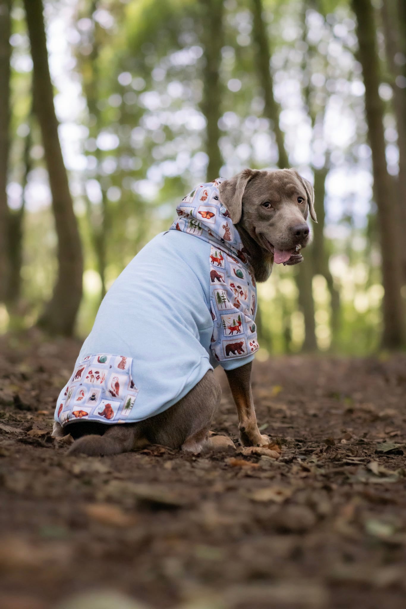The Woodland Stamps Hoodie