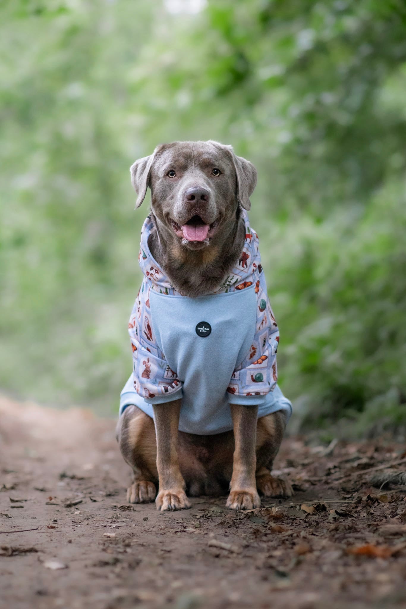 The Woodland Stamps Hoodie