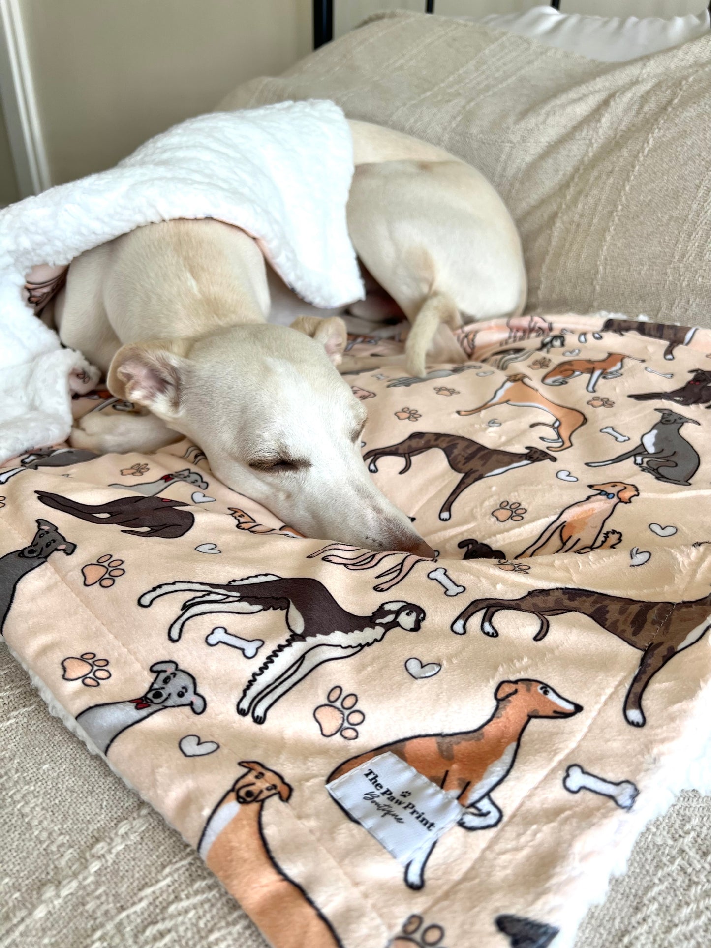 The Sighthound Dog Blanket - Beige