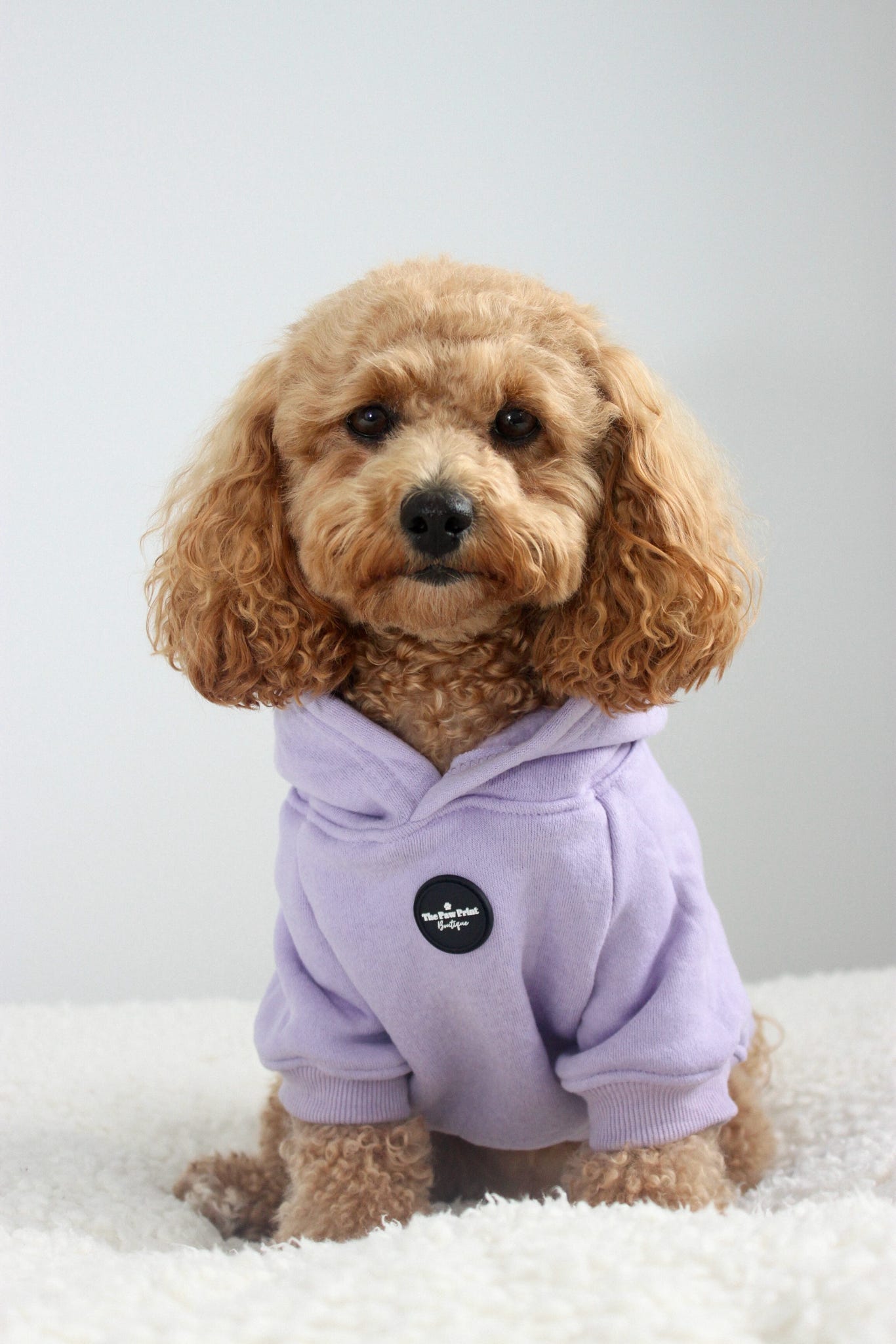 Dog Hoodie - Lilac