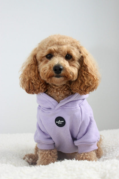 Dog Hoodie - Lilac