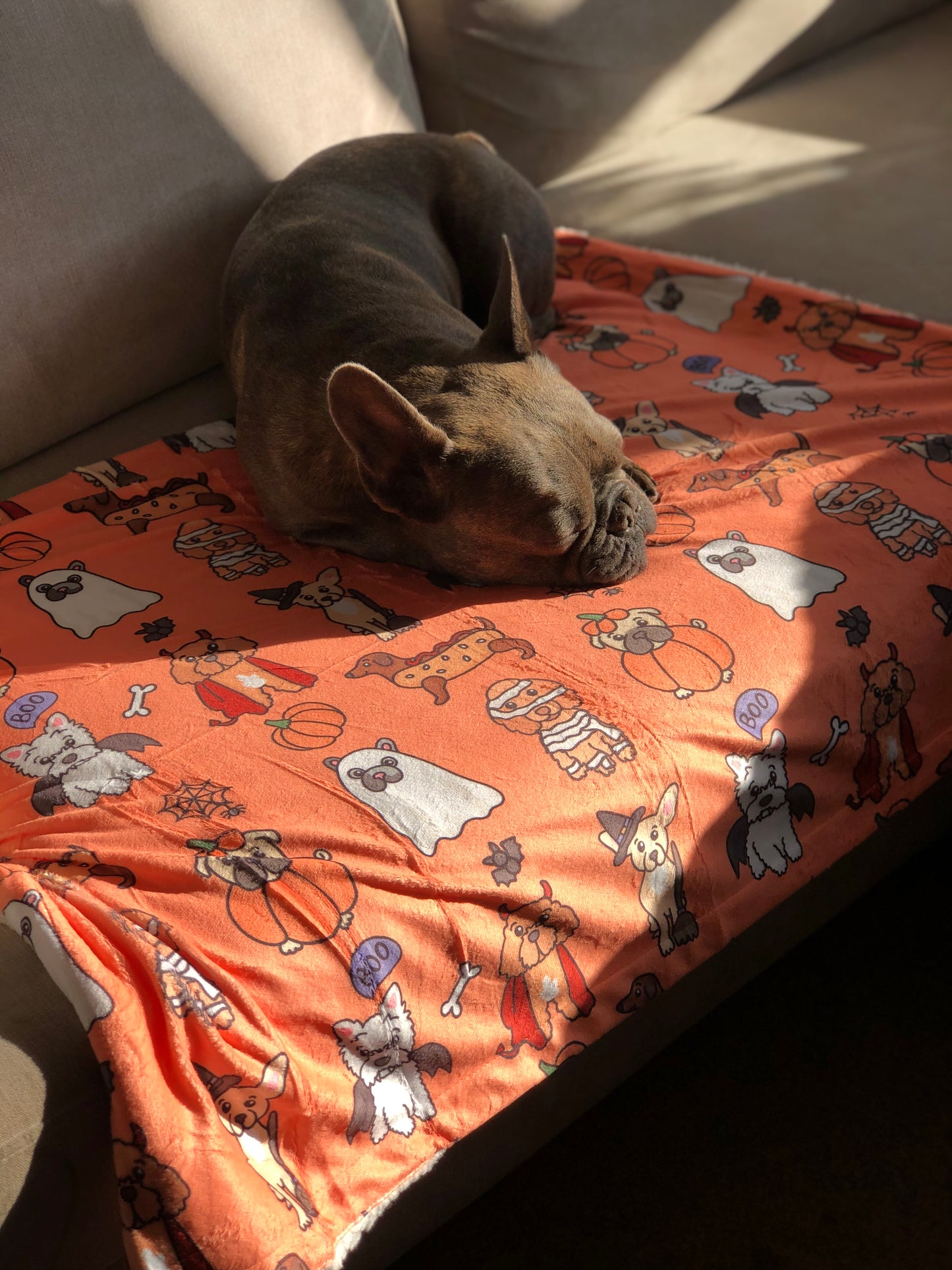 The Happy Howloween Dog Blanket