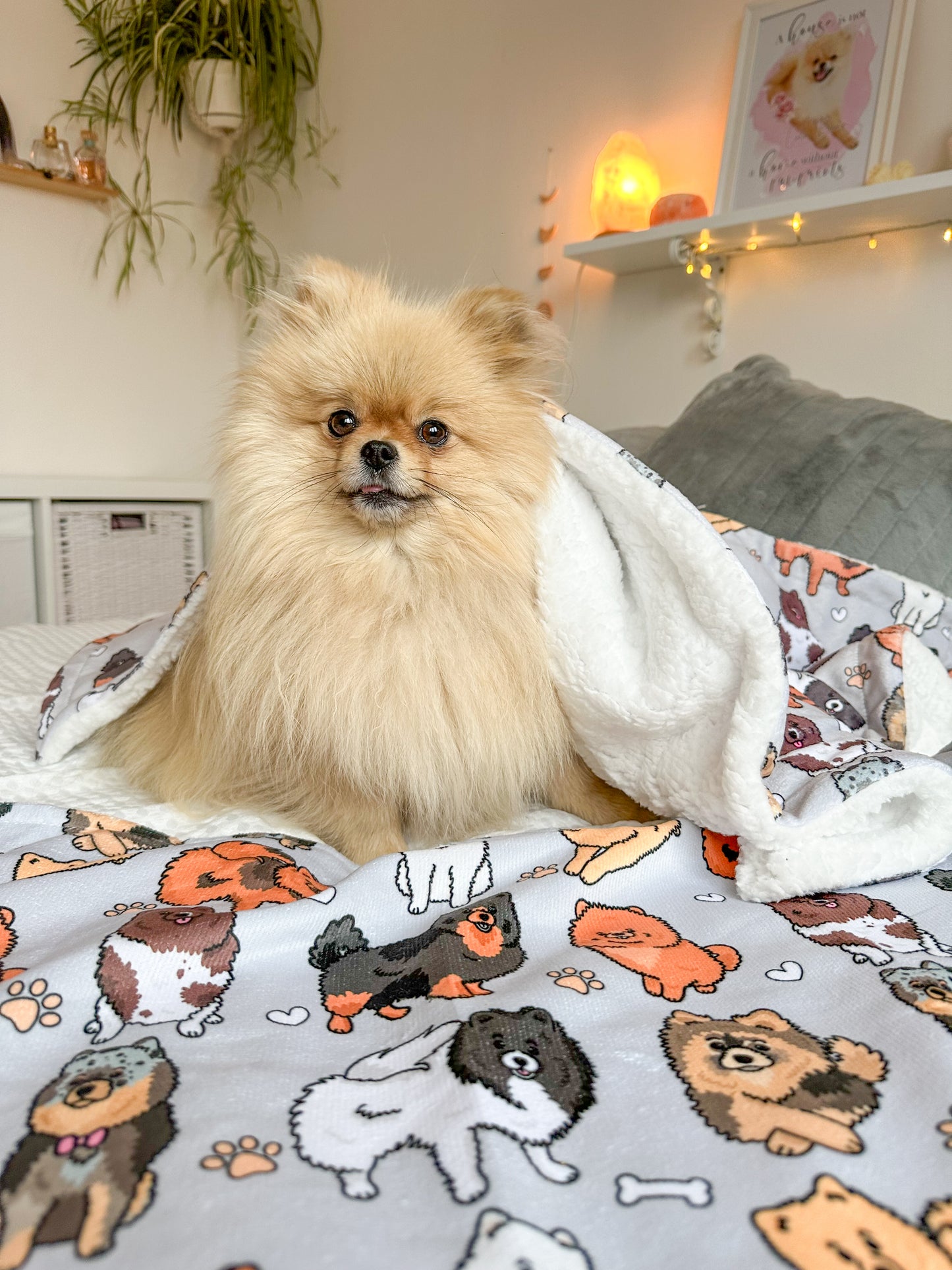 The Pomeranian Dog Blanket - Grey