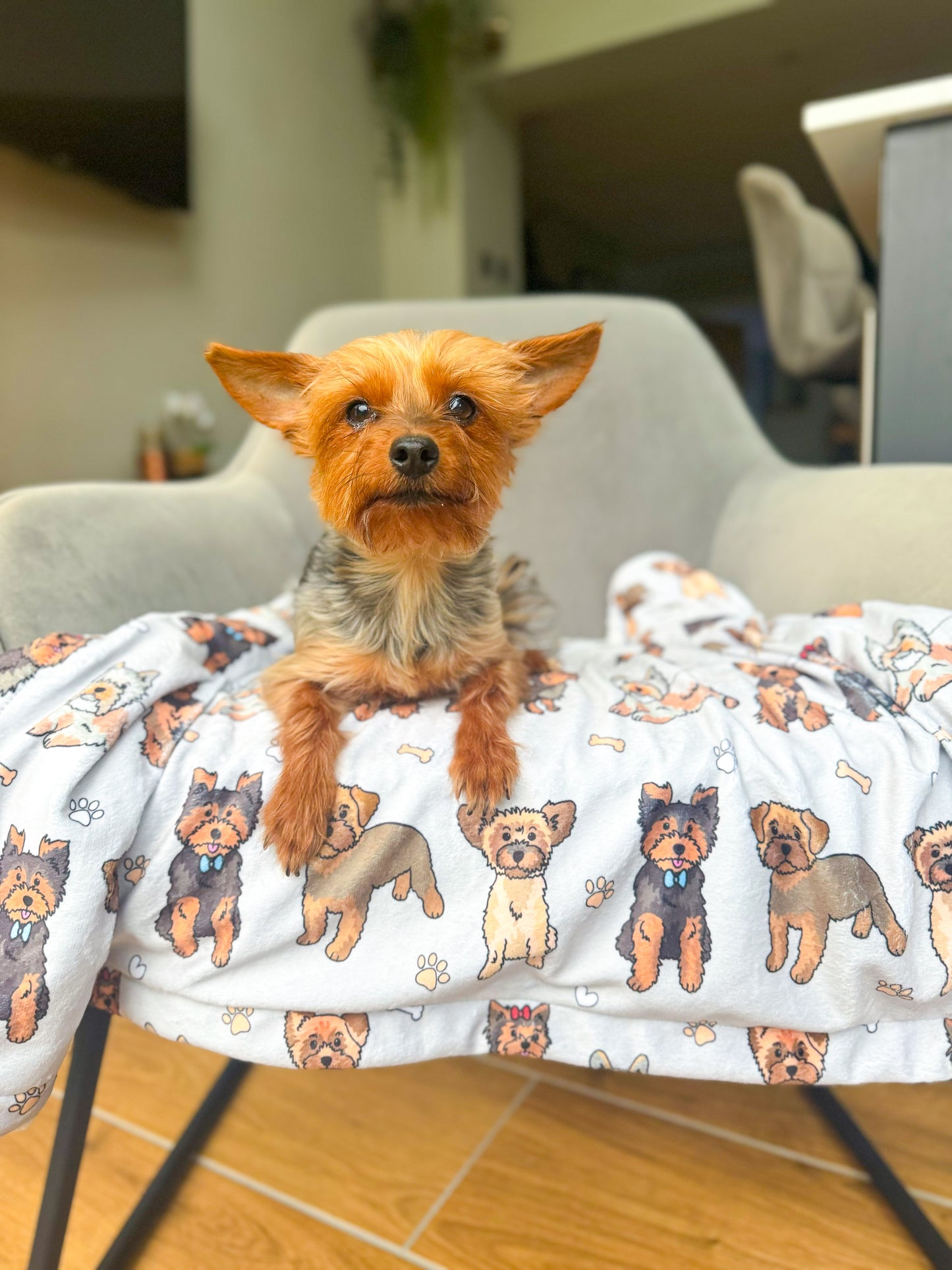 The Yorkie Dog Blanket - Grey