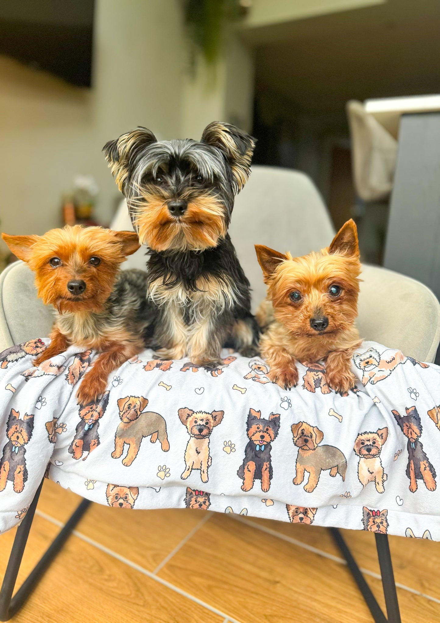 The Yorkie Dog Blanket - Grey