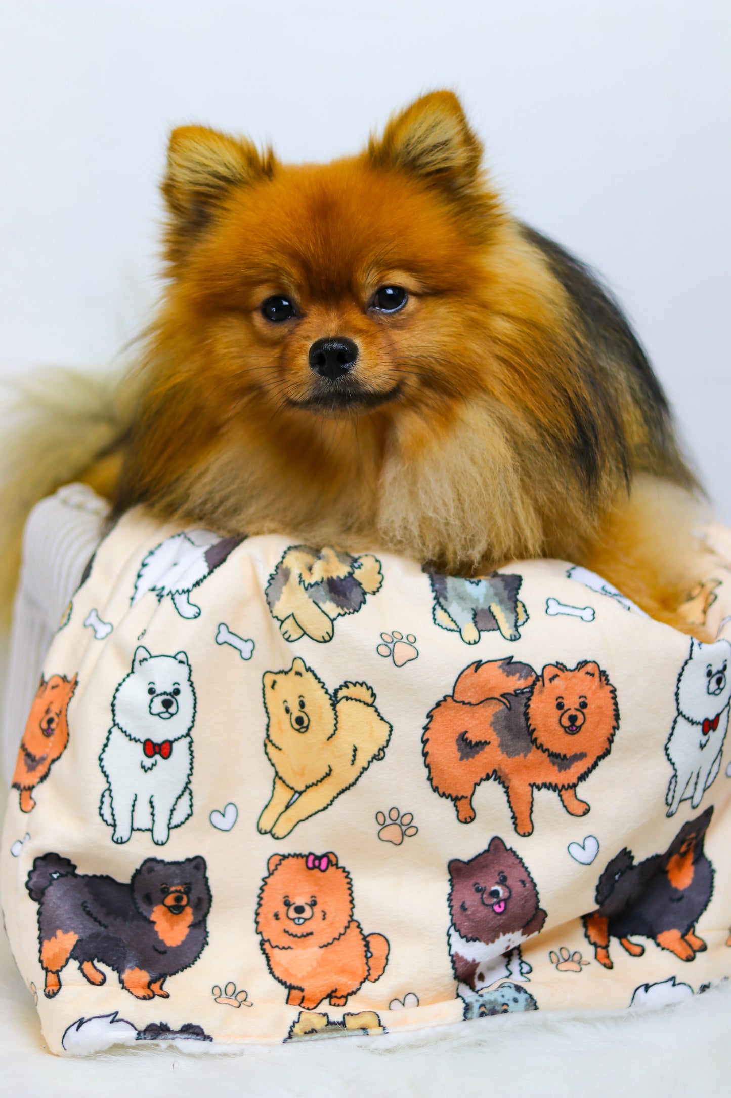 The Pomeranian Dog Blanket - Beige