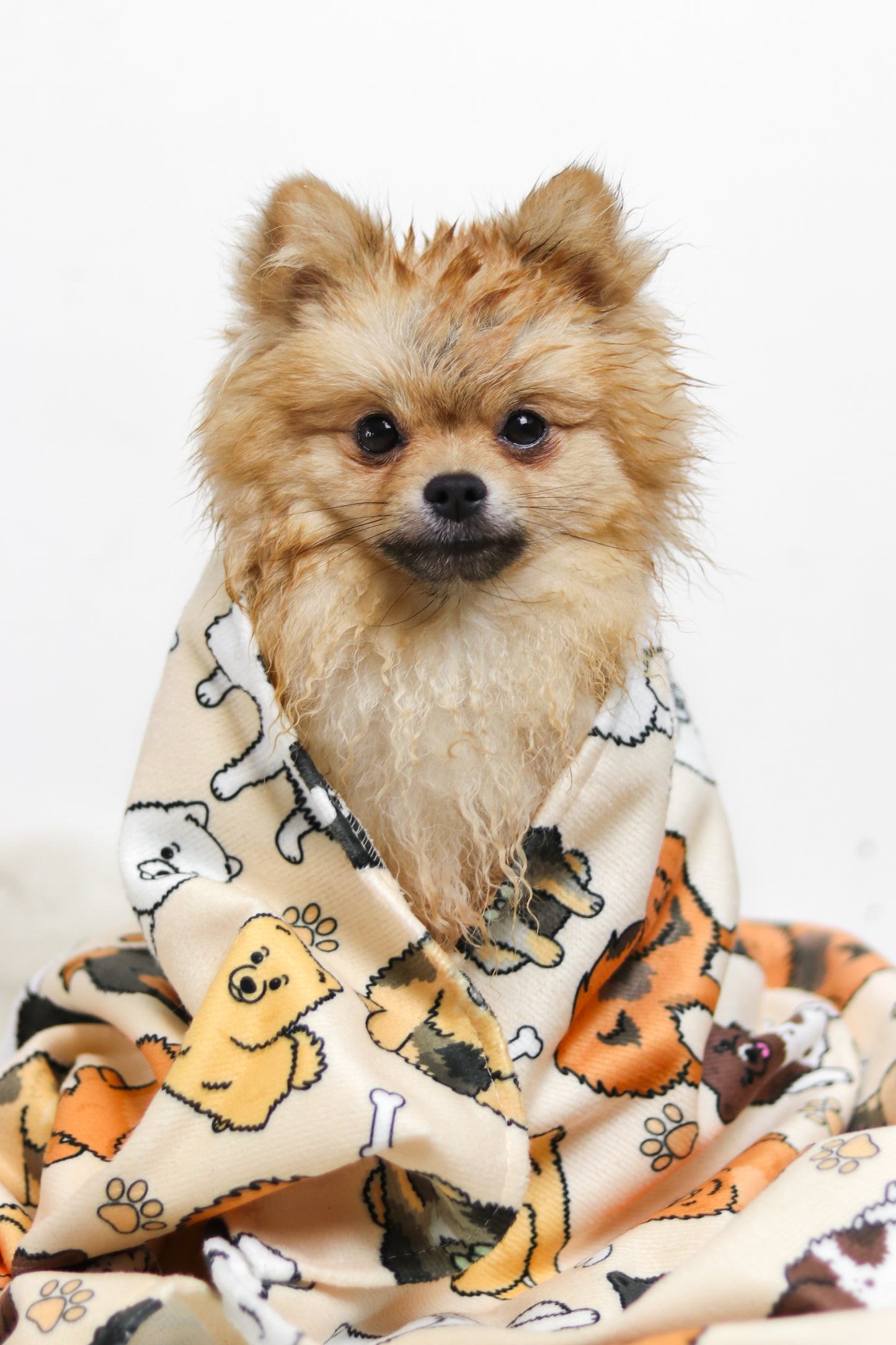 The Pomeranian Dog Towel - Beige