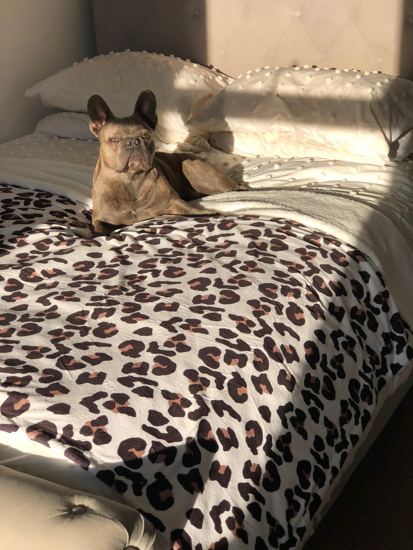 The Lavish Leopard Human Blanket
