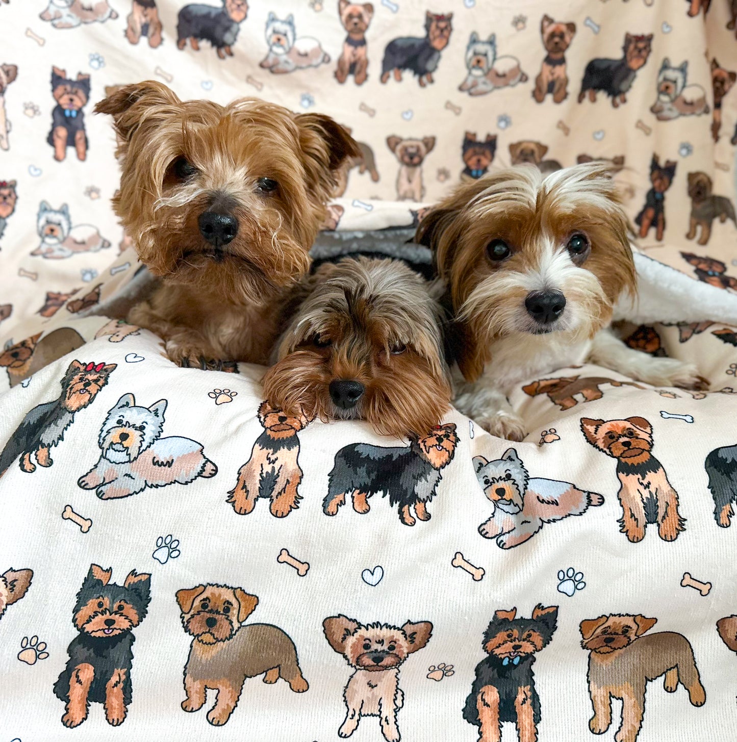 The Yorkie Dog Blanket - Beige
