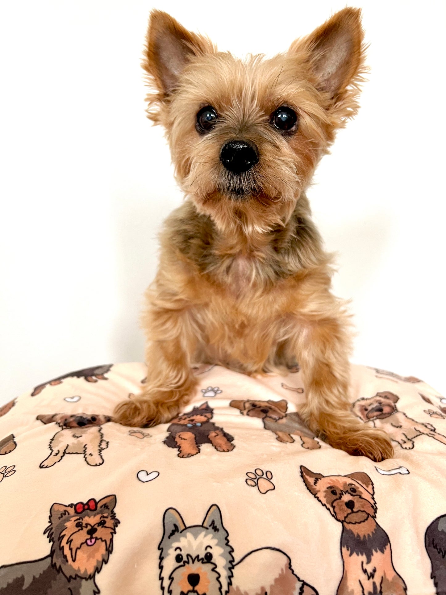 The Yorkie Dog Blanket - Beige