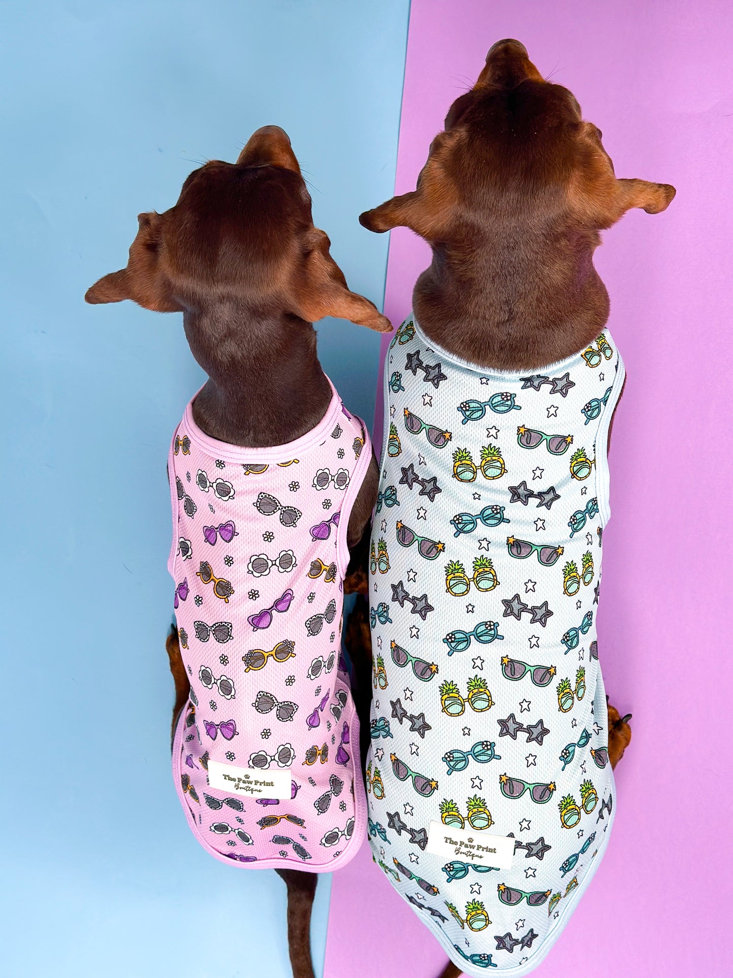 The Sassy Sunnies Cooling Vest