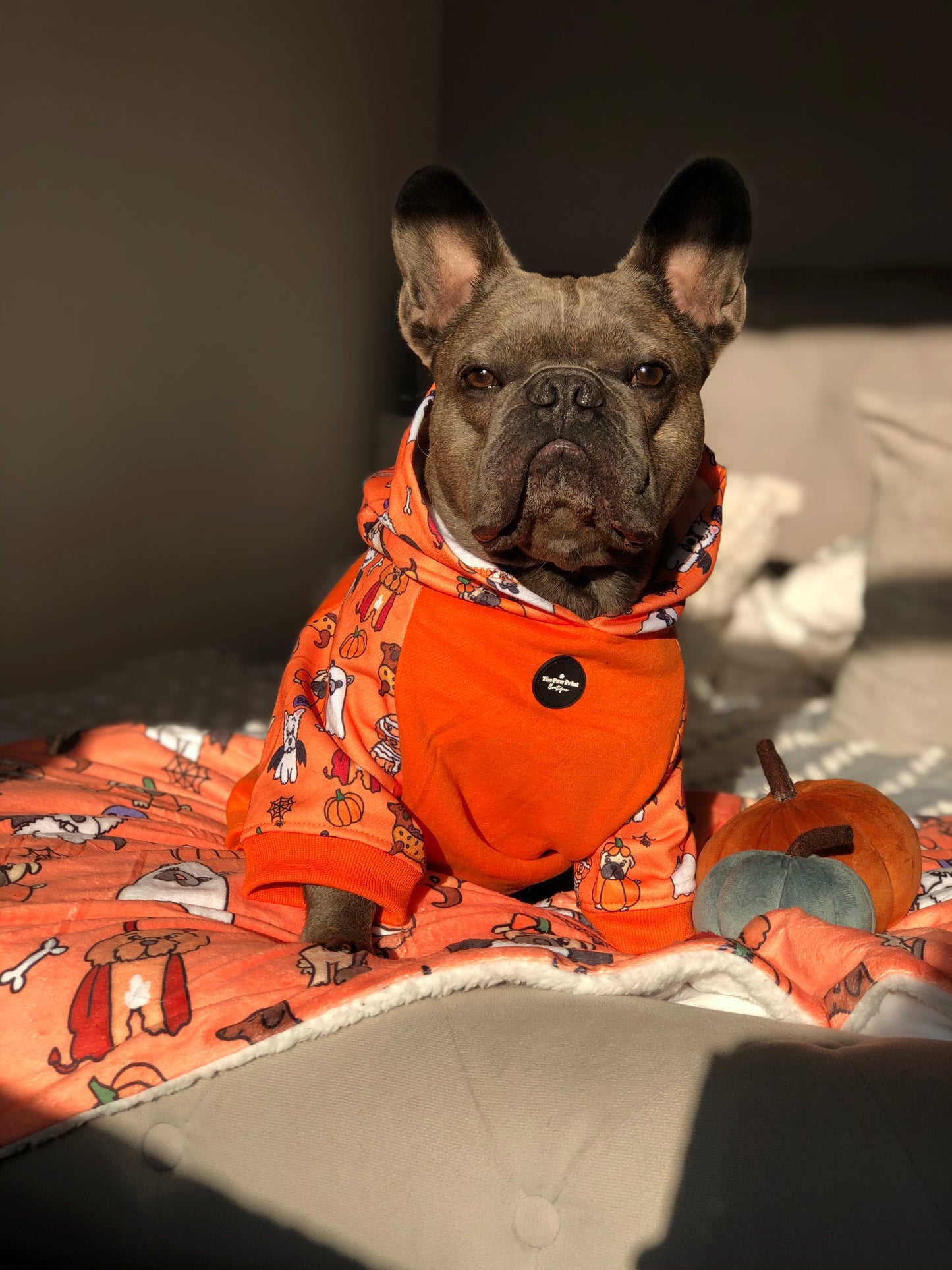 The Happy Howloween Dog Hoodie - Orange