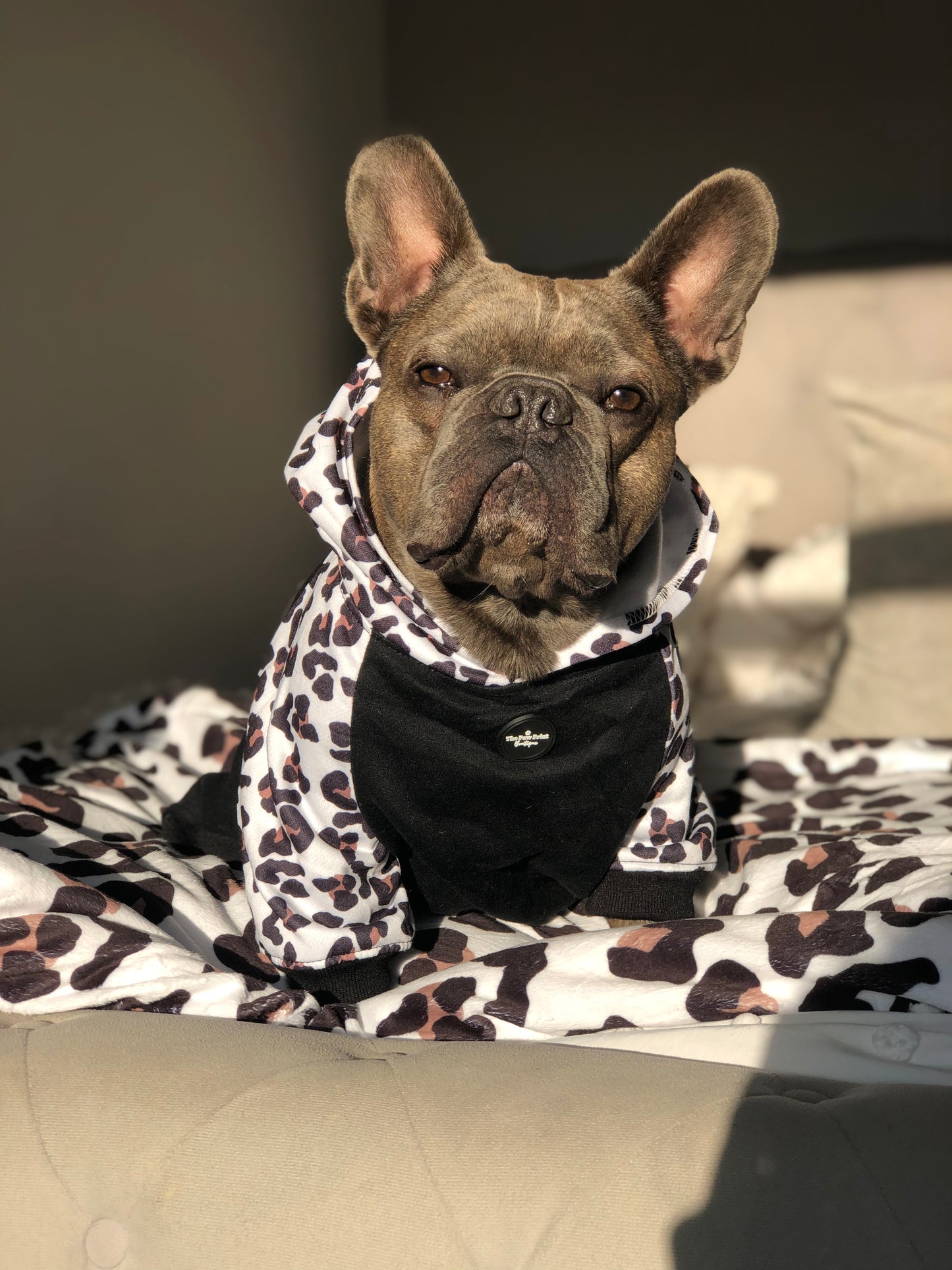 The Lavish Leopard Dog Hoodie