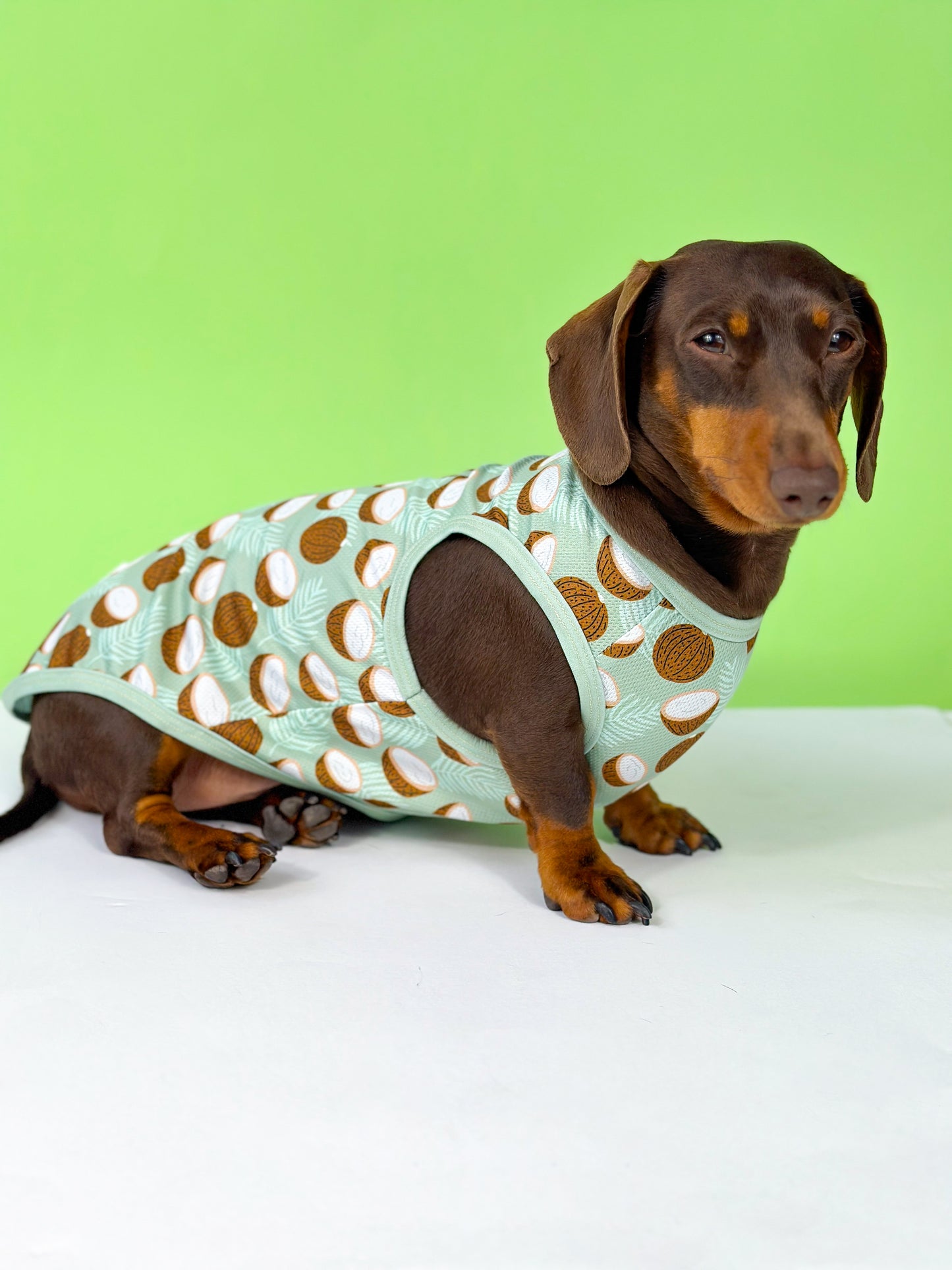 The Pina Pawlada Cooling Vest