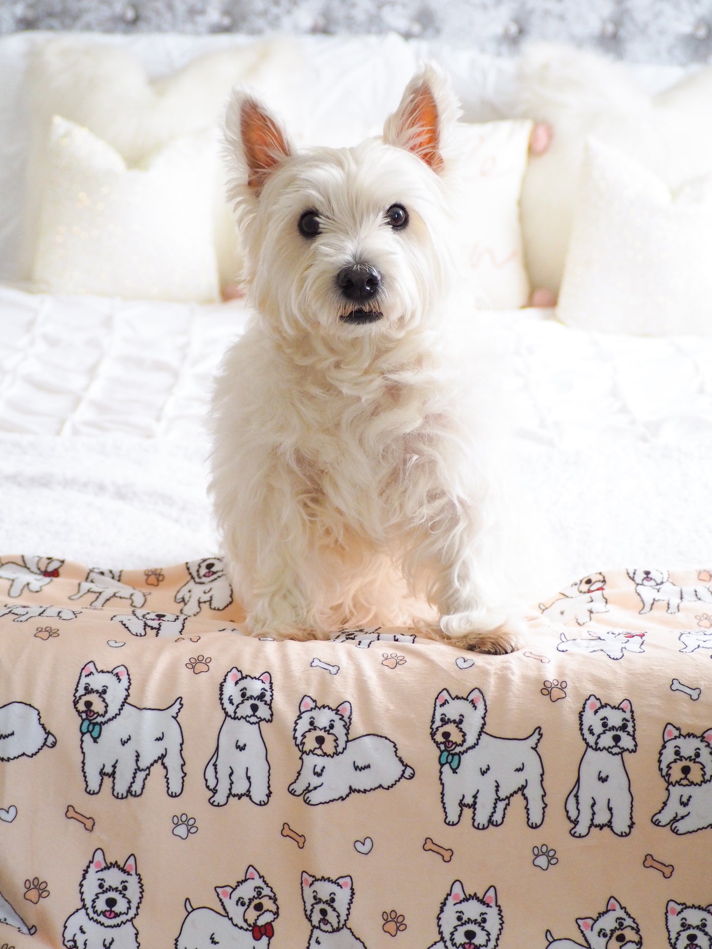 The Westie Dog Blanket - Beige