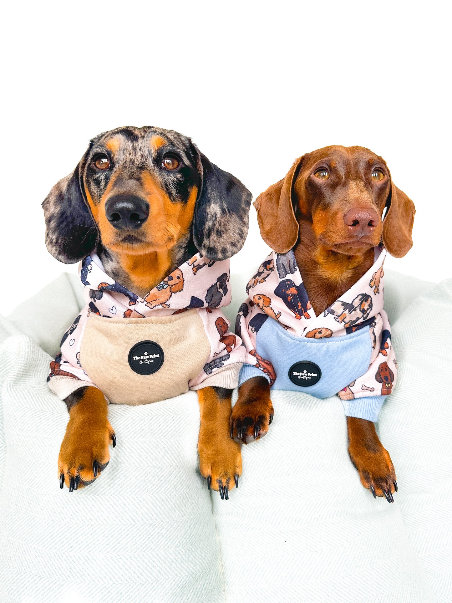 The Dachshund Dog Hoodie - Baby Blue