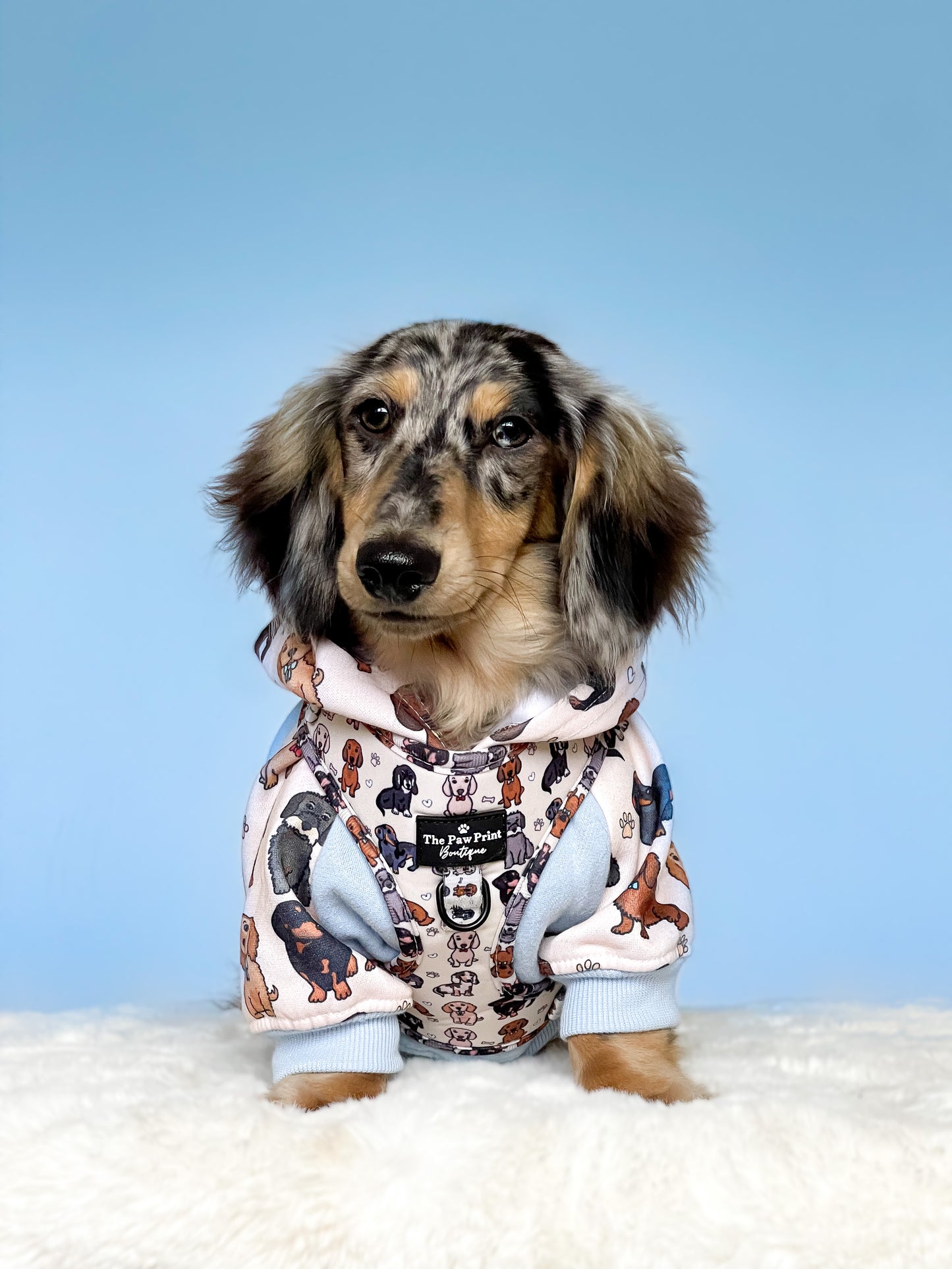 The Dachshund Dog Hoodie - Baby Blue