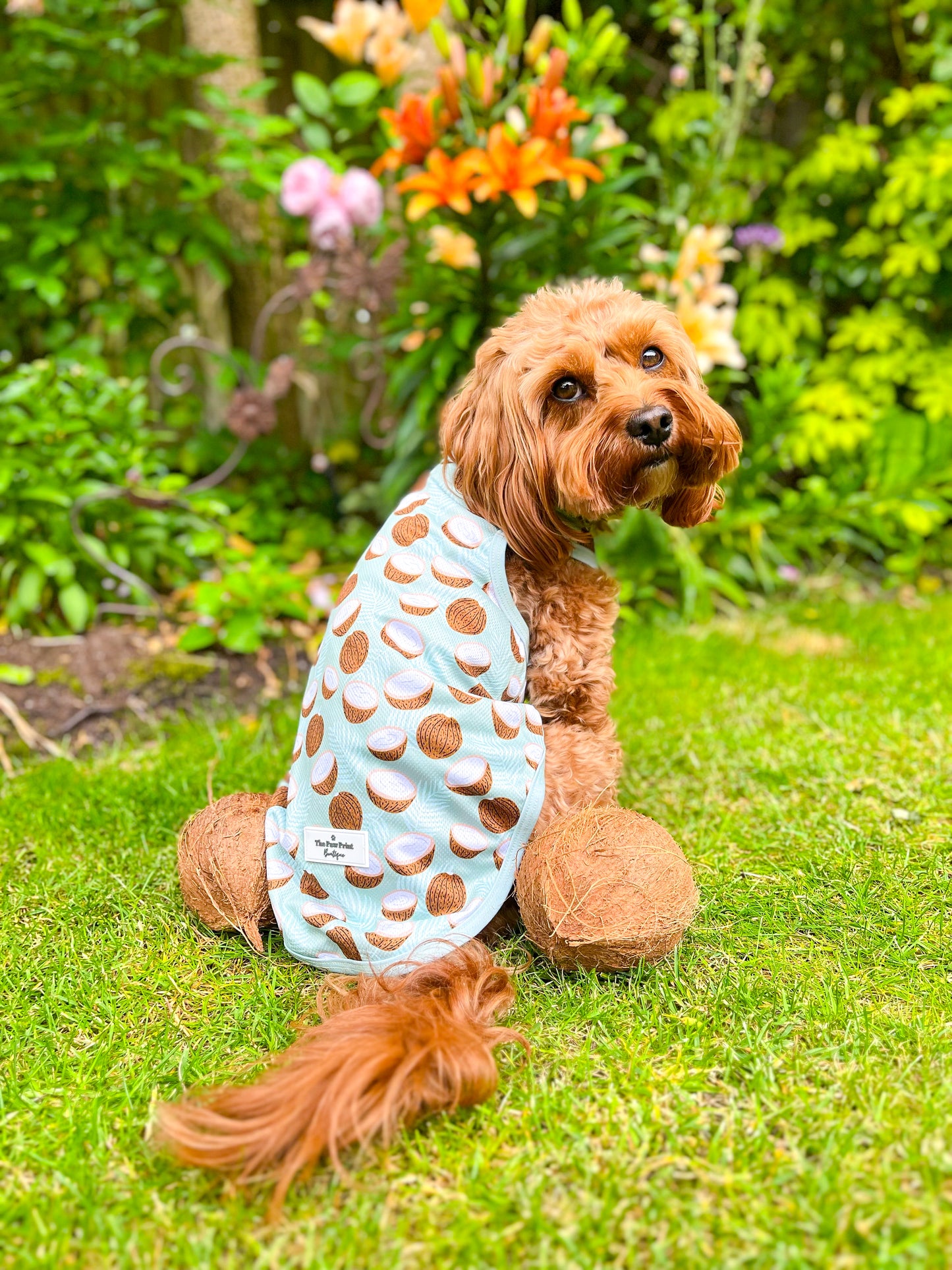 The Pina Pawlada Cooling Vest