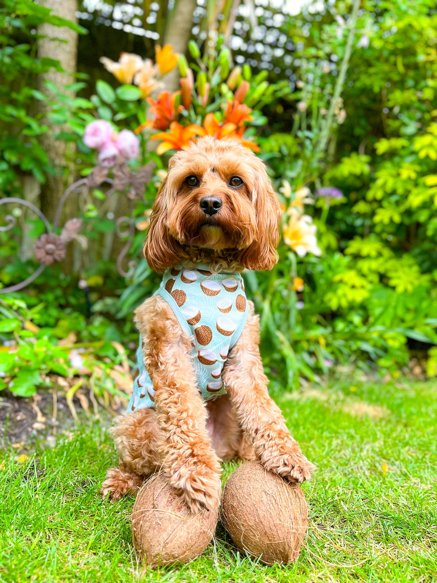 The Pina Pawlada Cooling Vest