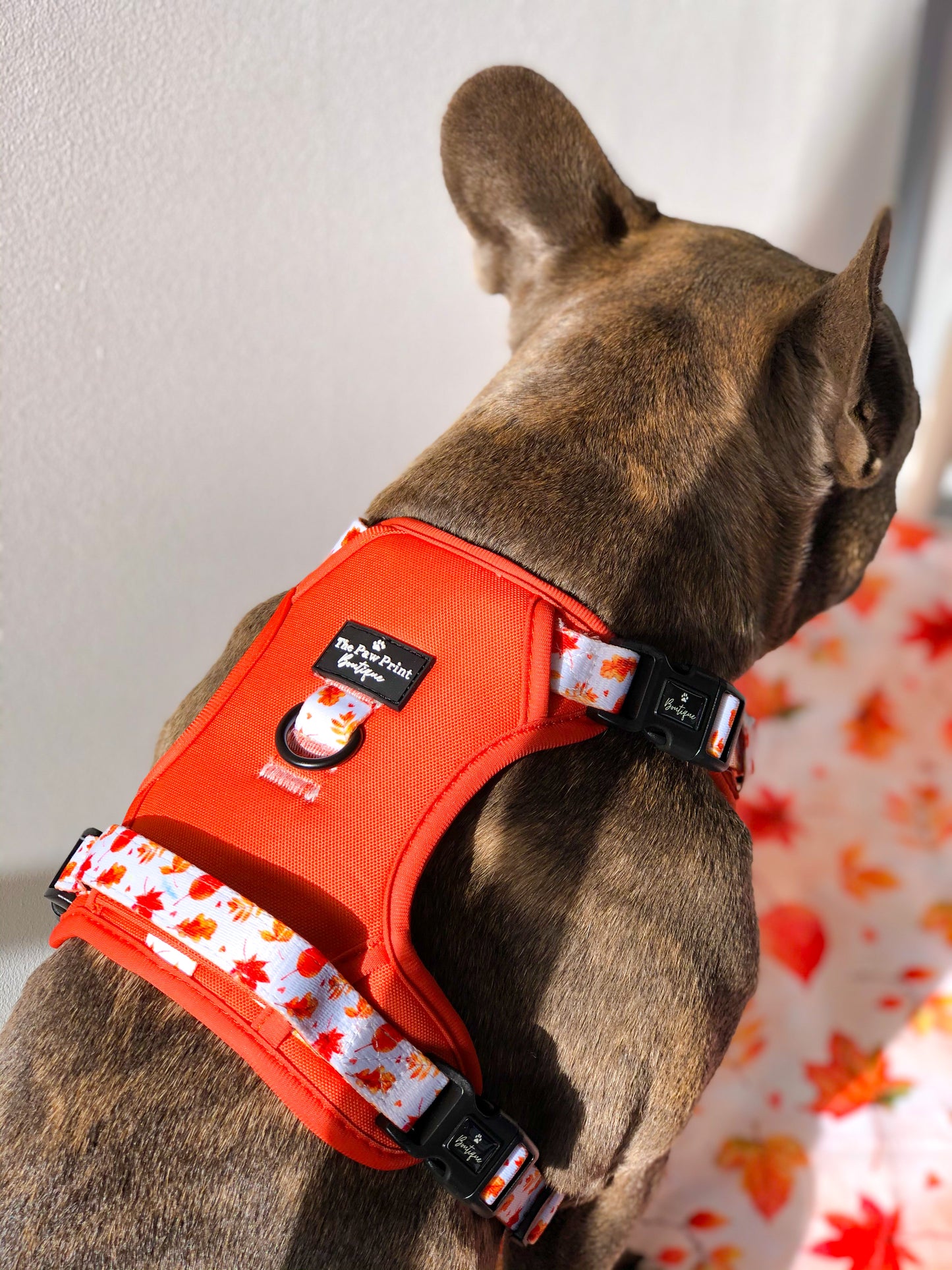 The UnbeLEAFable Adventure Paws Harness (Tough)