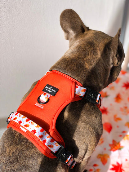 The UnbeLEAFable Adventure Paws Harness (Tough)
