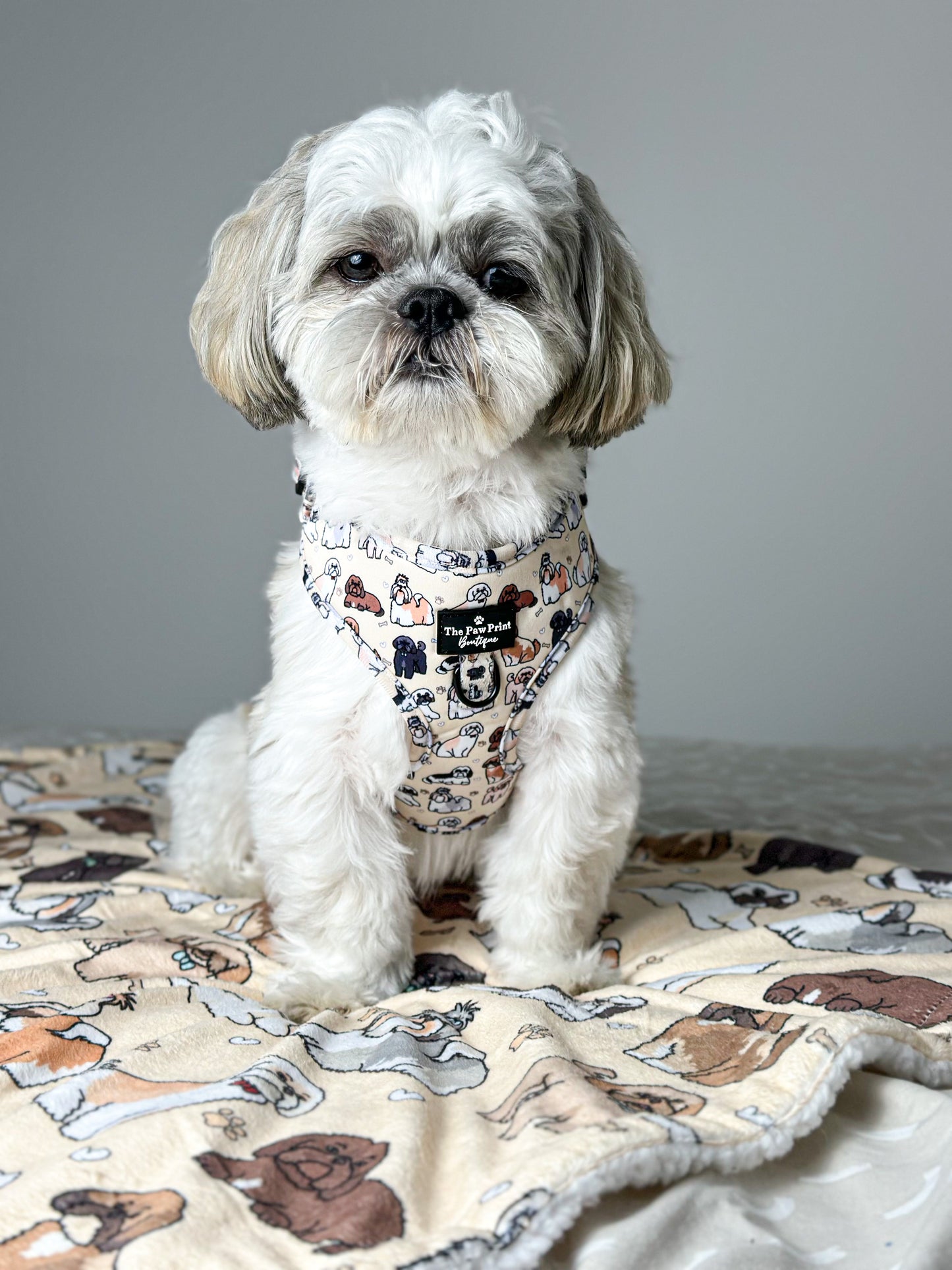 The Shih Tzu Adjustable Harness