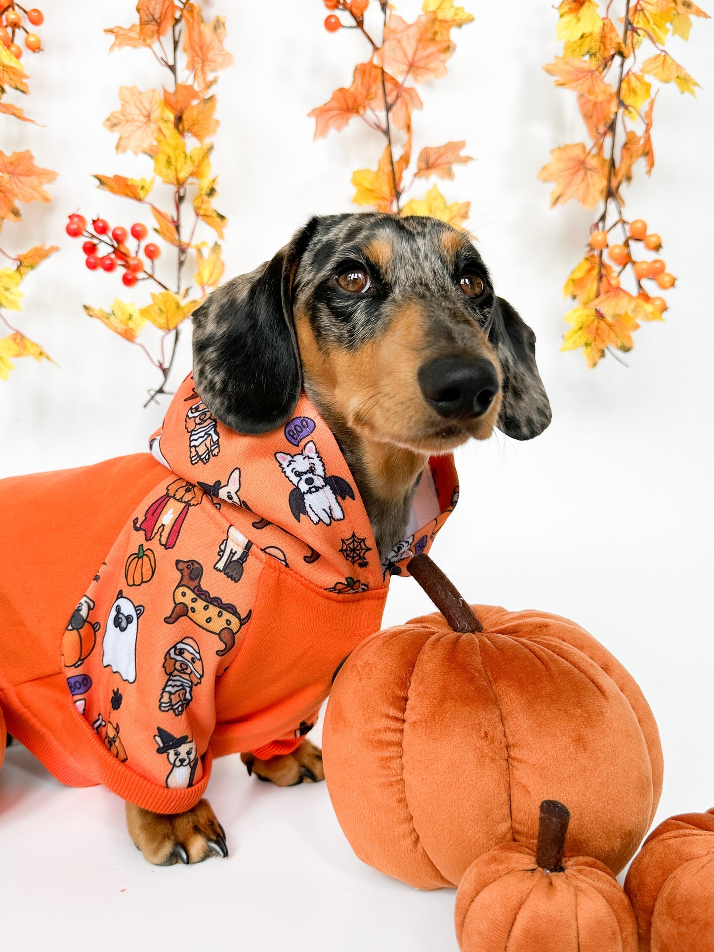 The Happy Howloween Hoodie (Orange)