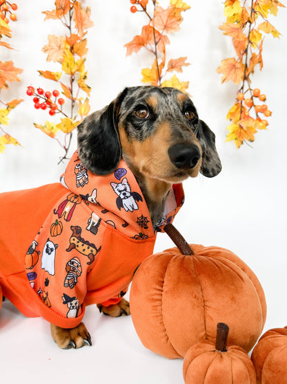 The Happy Howloween Hoodie (Orange)