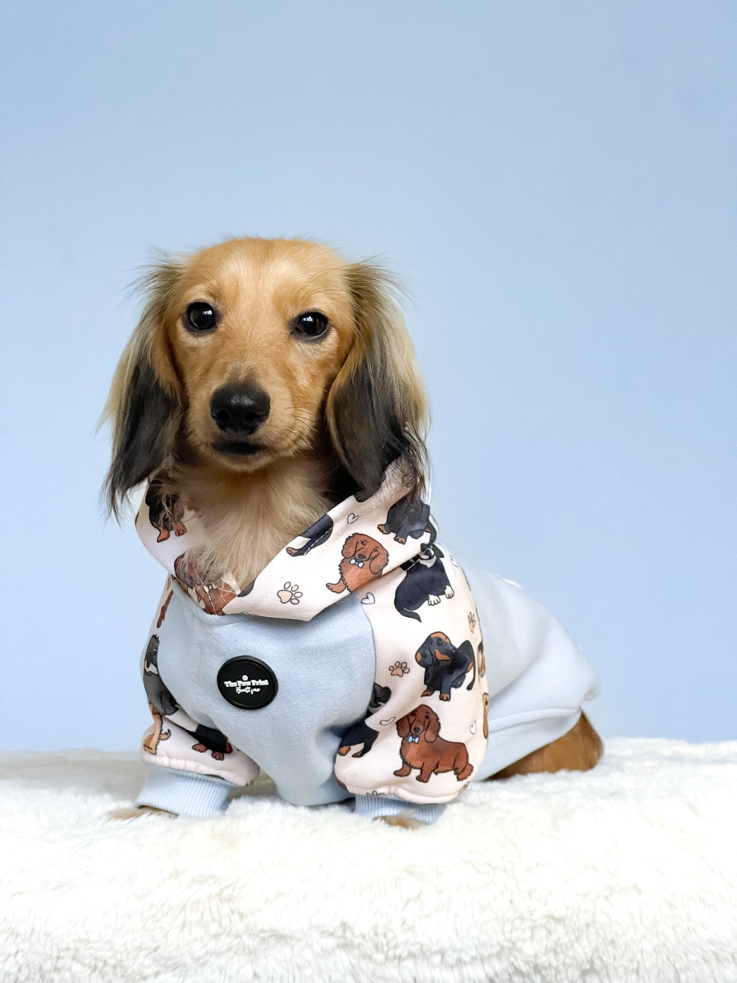 The Dachshund Dog Hoodie - Baby Blue