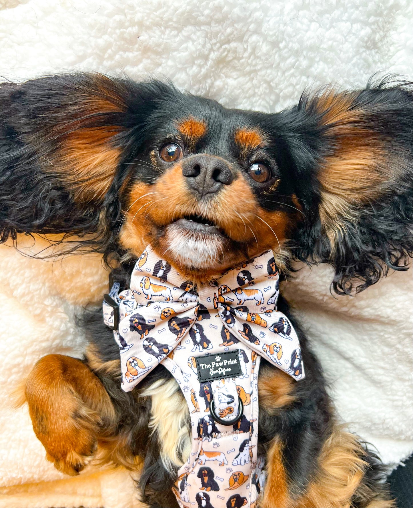 The Cavalier Adventure Paws Harness