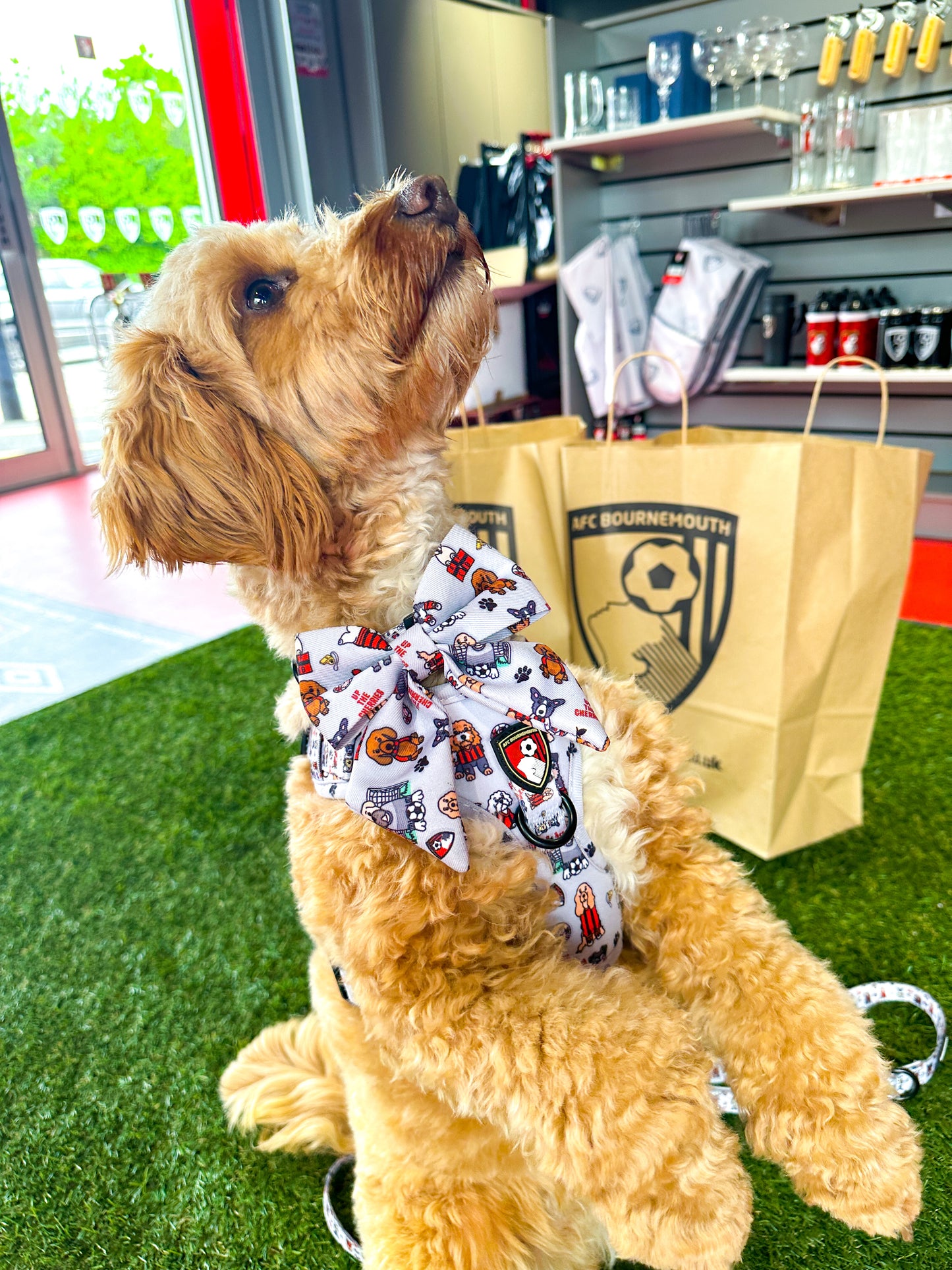 The AFC Bournemouth Adjustable Harness