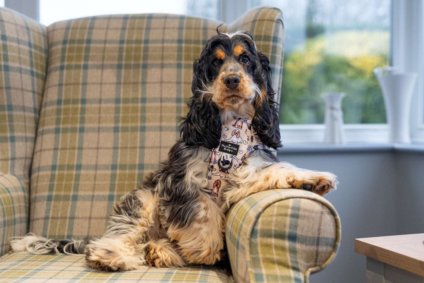 The Spaniel Harness (Adventure Paws)
