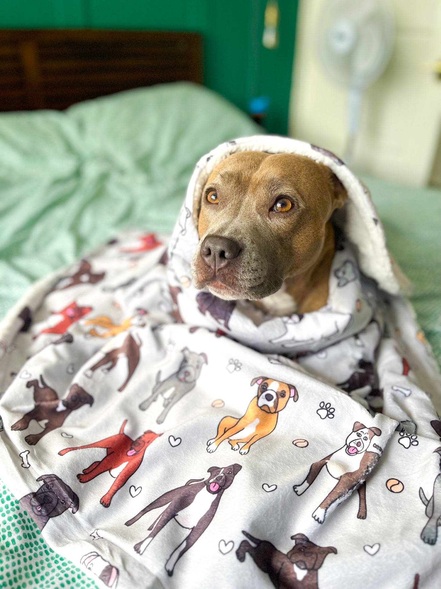 The Staffy Dog Blanket - Grey