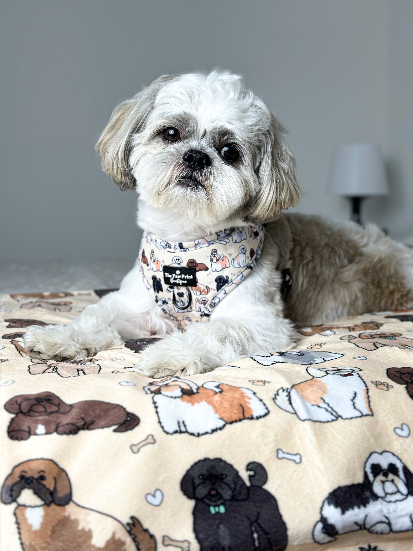 The Shih Tzu Dog Blanket - Beige