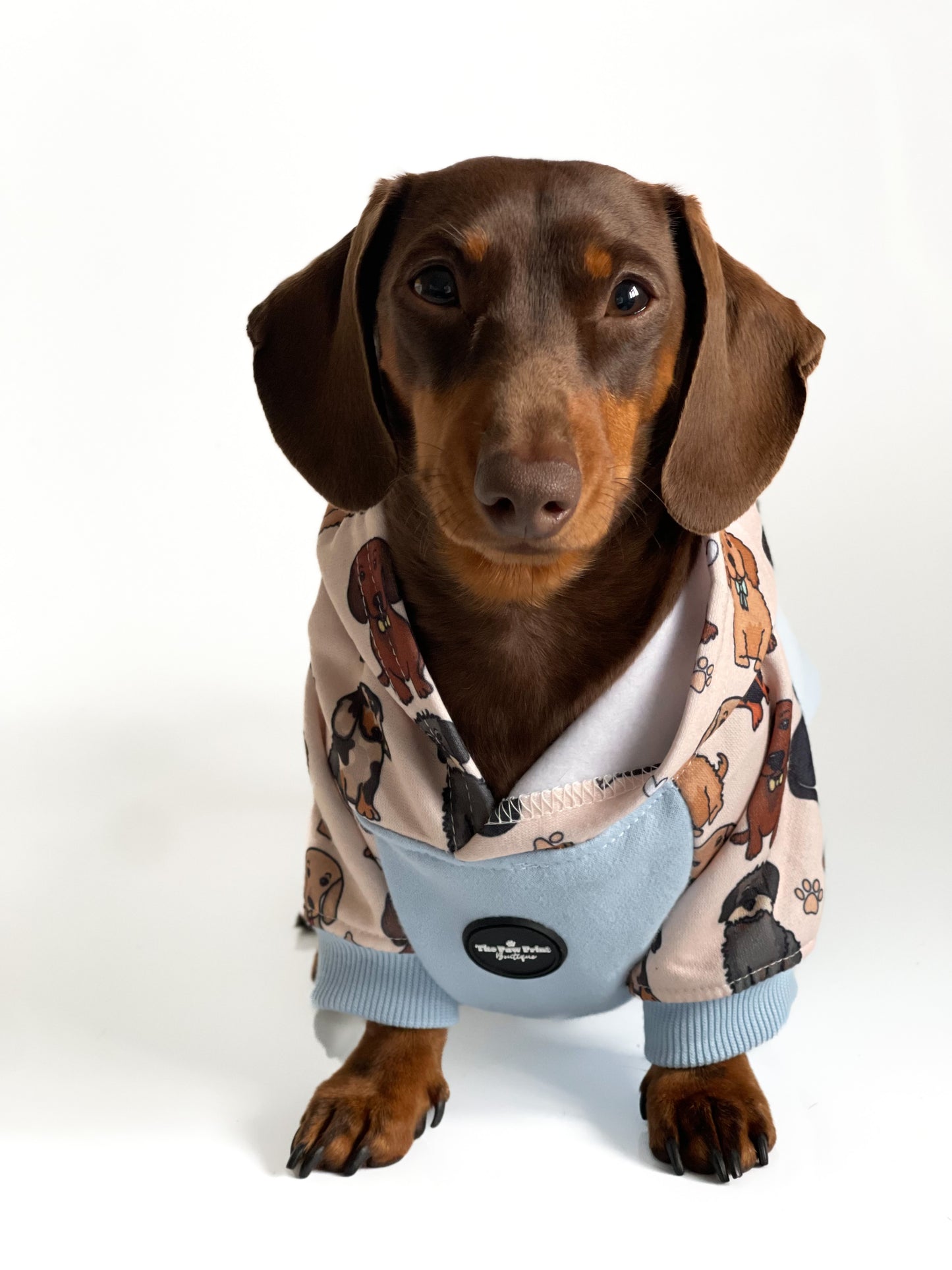 The Dachshund Dog Hoodie - Baby Blue