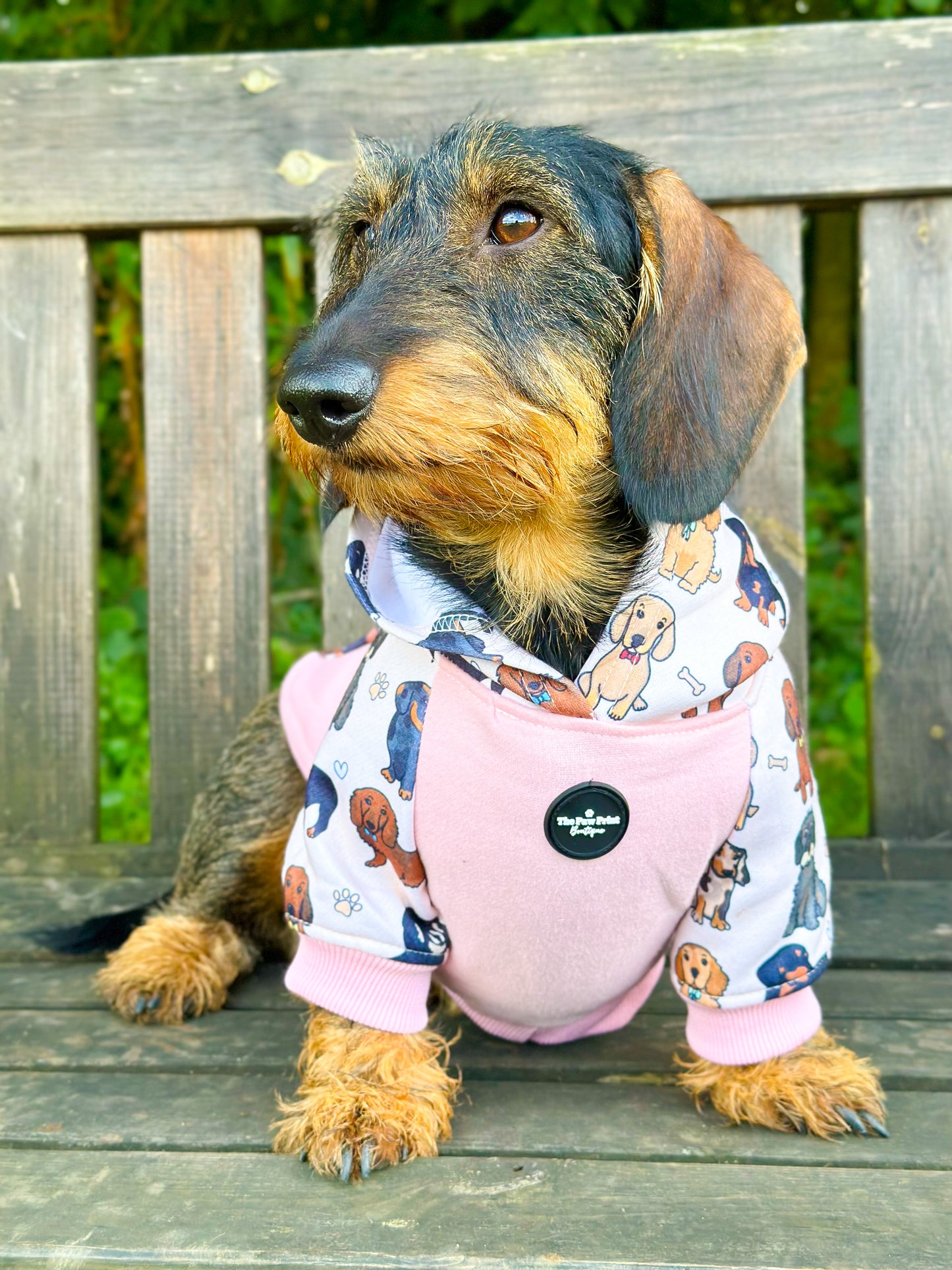 The Dachshund Dog Hoodie - Baby Pink