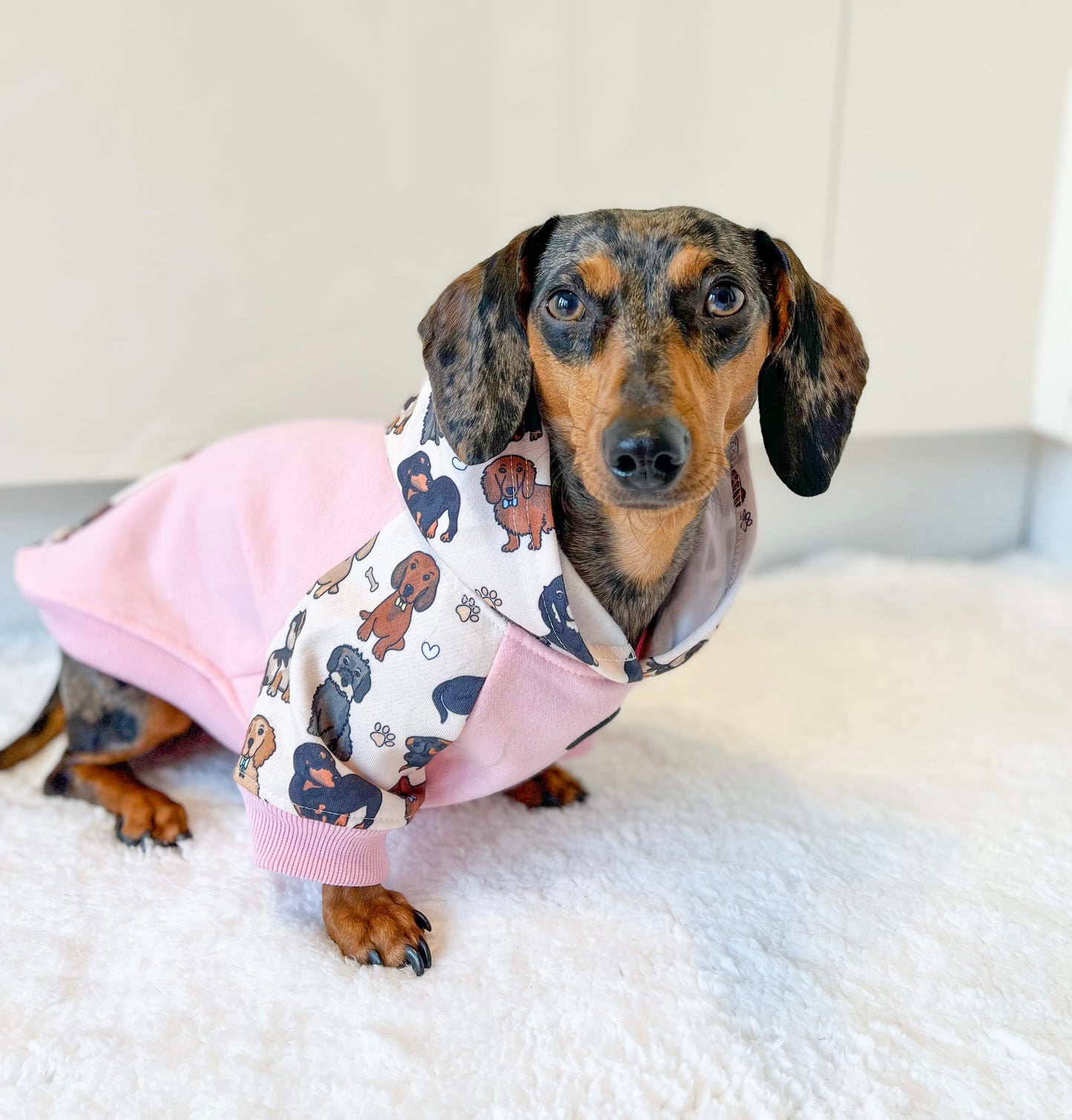 The Dachshund Dog Hoodie - Baby Pink