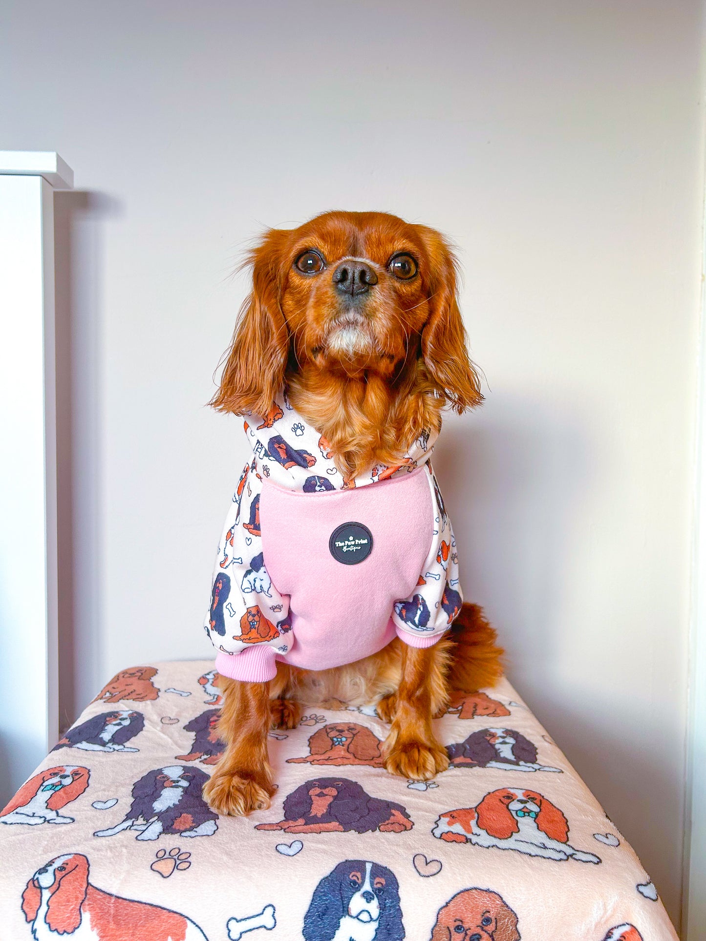 The Cavalier Dog Hoodie - Baby Pink