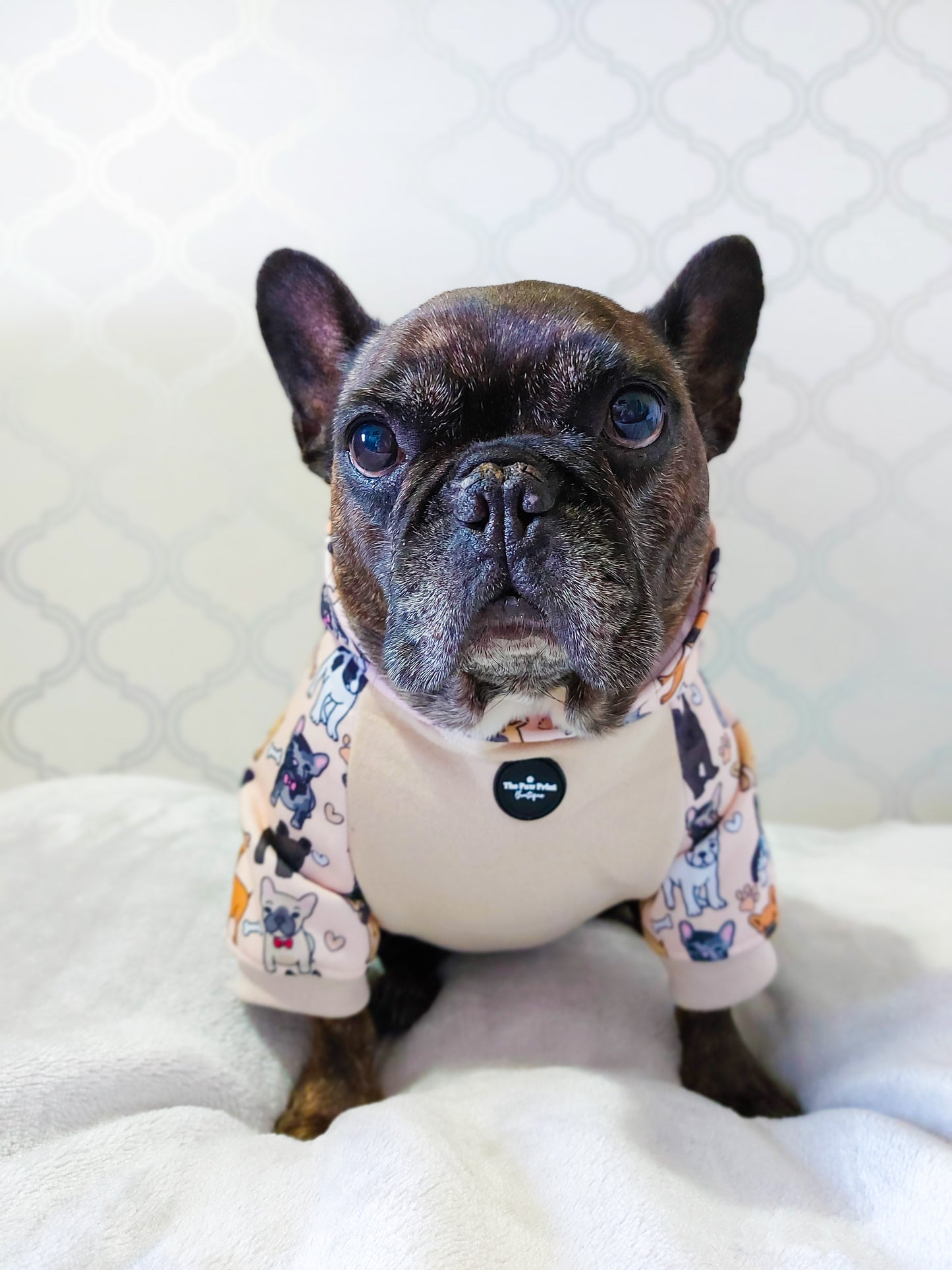 The French Bulldog Dog Hoodie - Beige