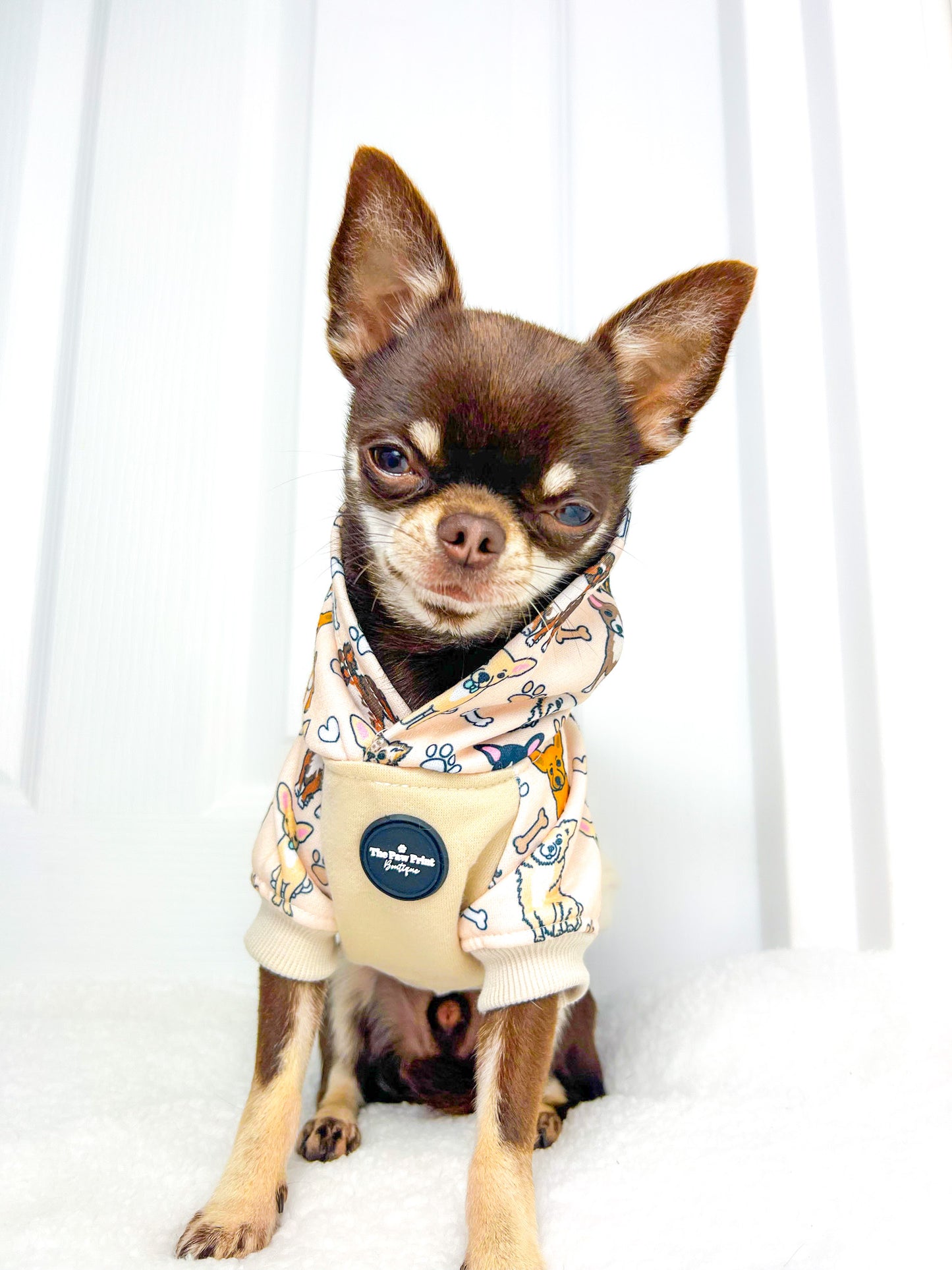 The Chihuahua Dog Hoodie - Beige