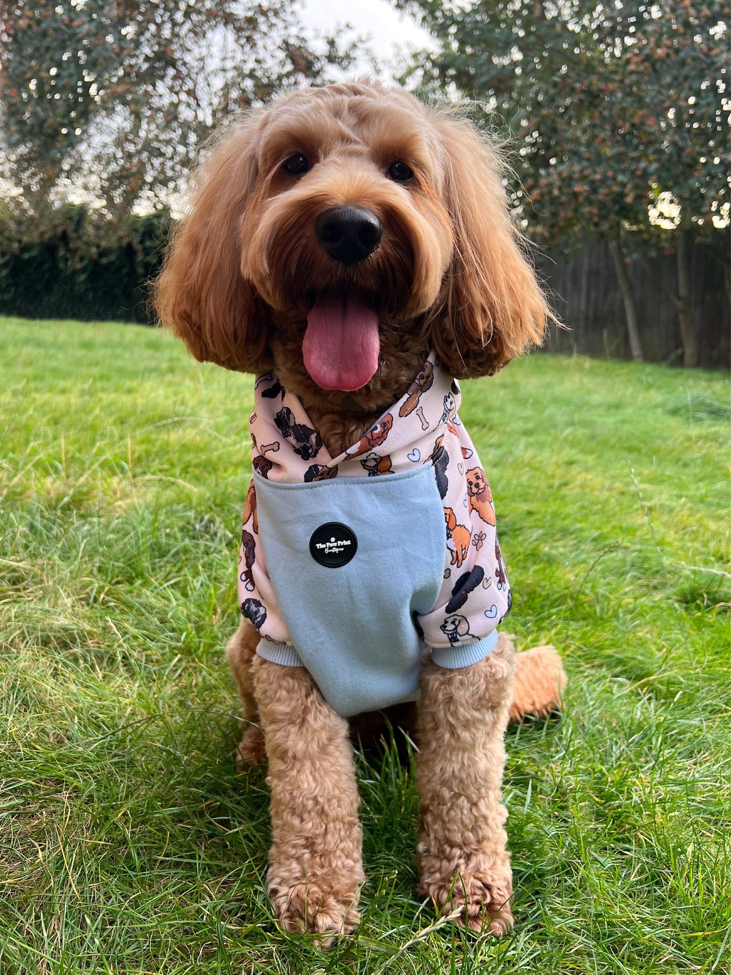 The Poodles & Doodles Dog Hoodie - Baby Blue