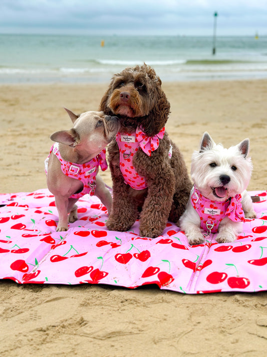 Cherry on Top Picnic Mat