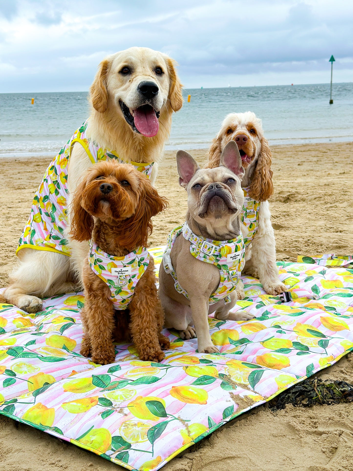 La Dolce Vita Picnic Mat