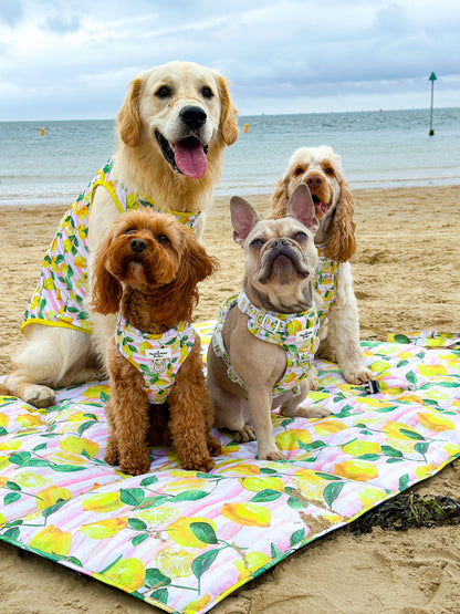 La Dolce Vita Picnic Mat