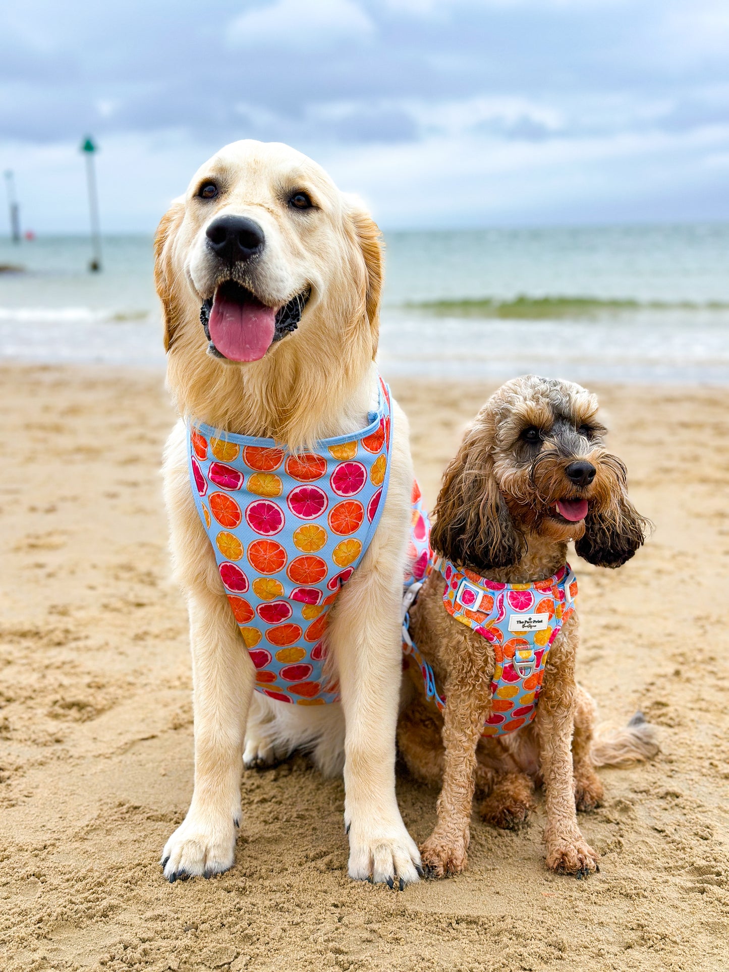 Squeeze the Day Cooling Vest