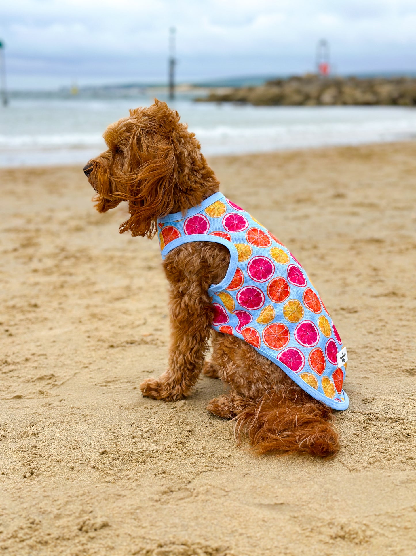 Squeeze the Day Cooling Vest