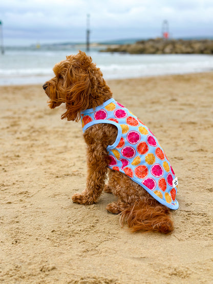 Squeeze the Day Cooling Vest