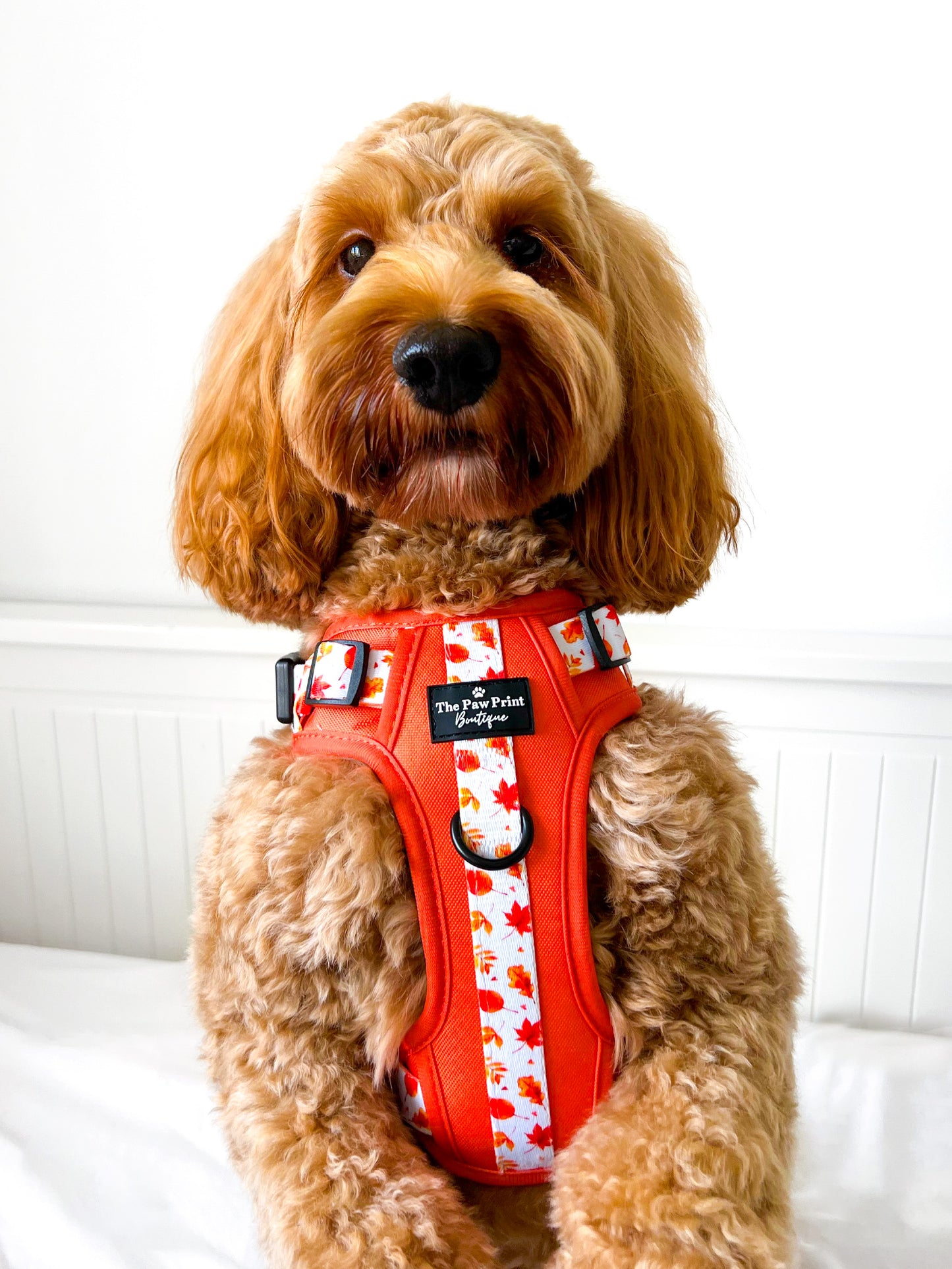 The UnbeLEAFable Adventure Paws Harness (Tough)